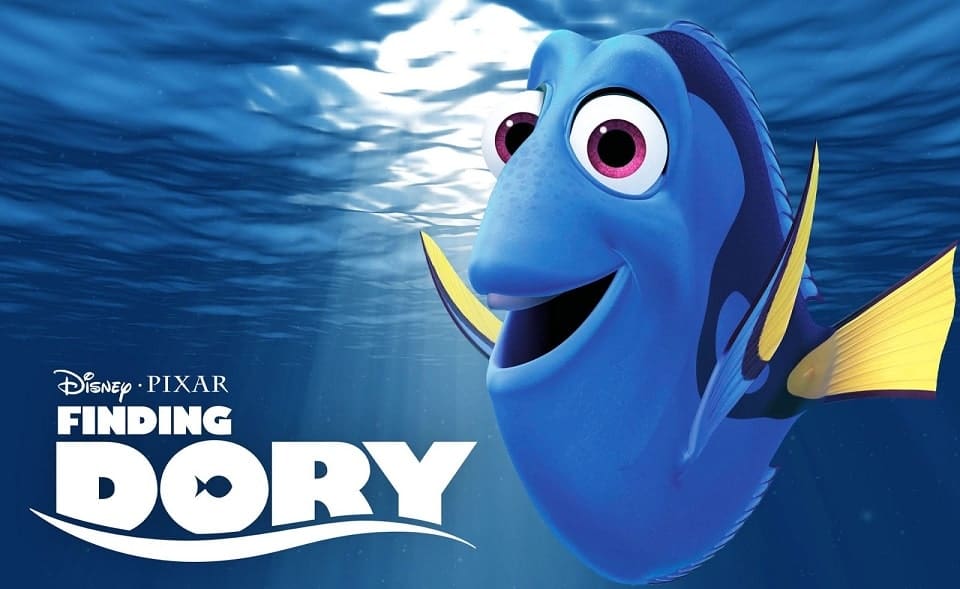Finding dory sml