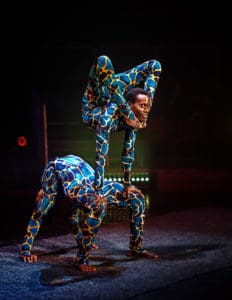 Cirque africa 70