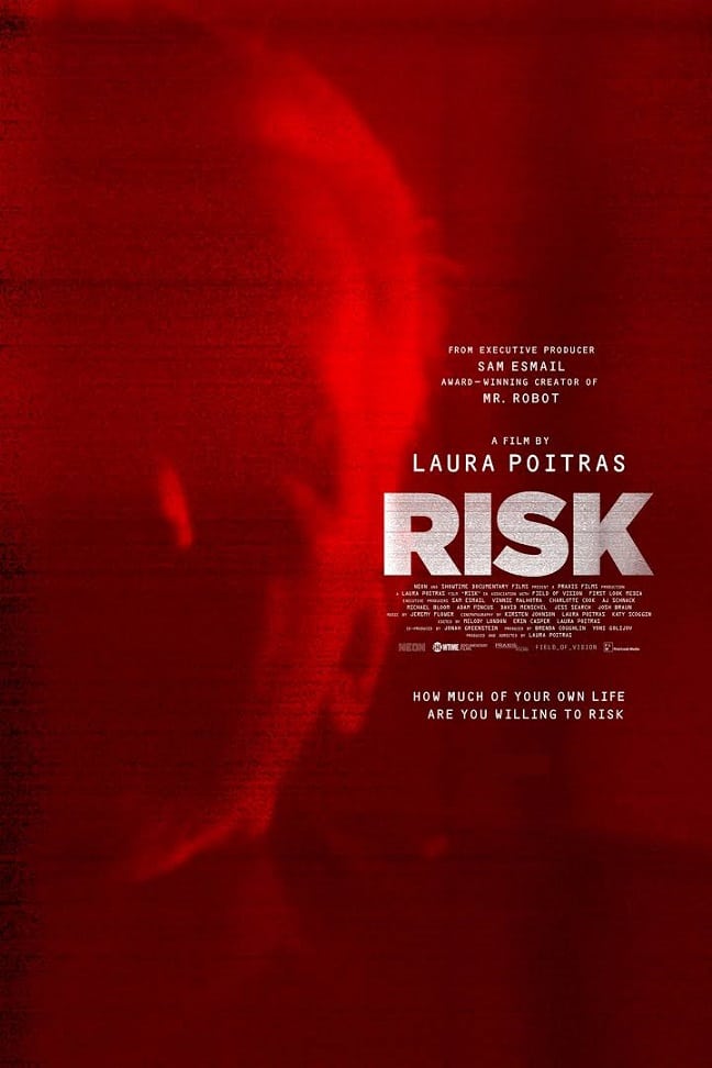 risk-movie poster