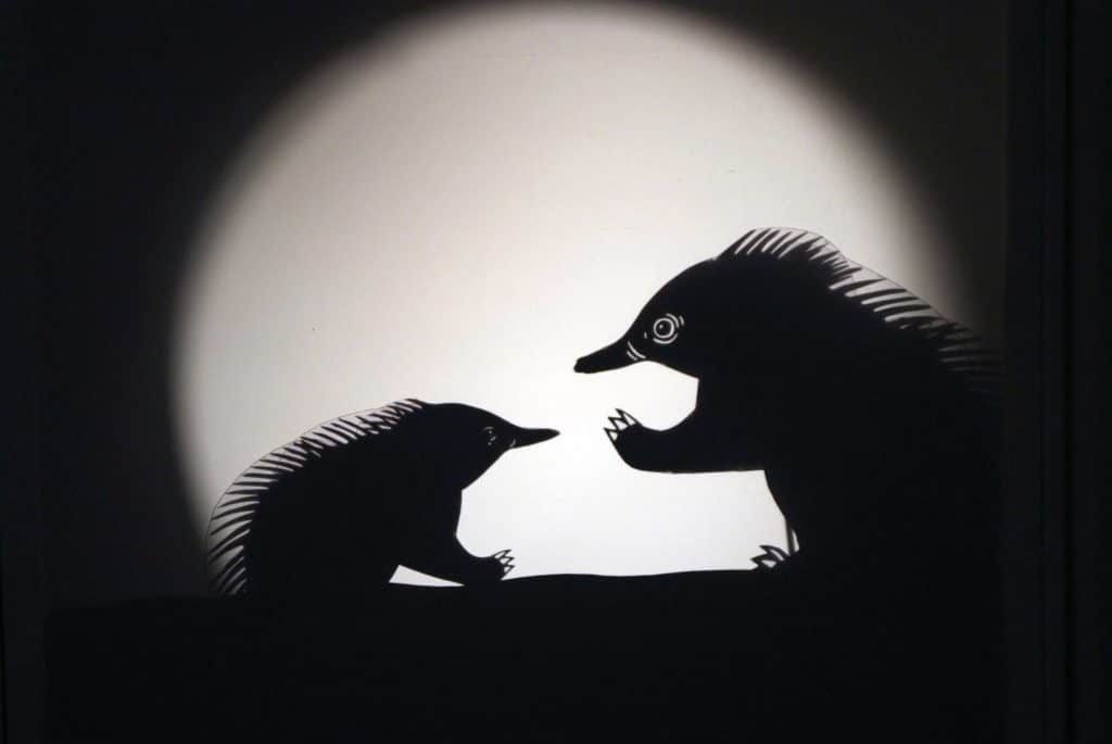 Two echidnas email