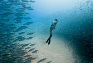 Photo by travis burke freediver chelsea yamasee mres horizontal
