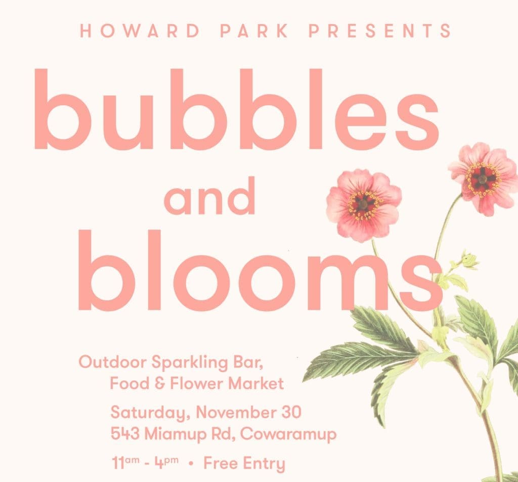Bubbles blooms @ howard park