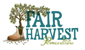 Fair harvest logo header 2x