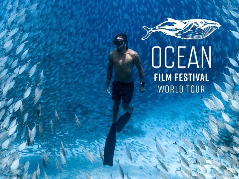 Ocean film festival - world tour